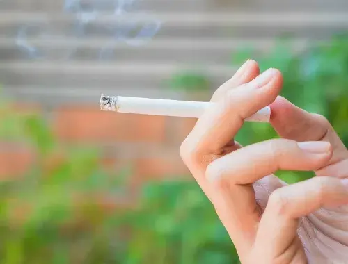 연초형-담배