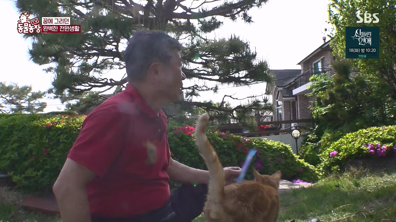 TV 동물농장.E1176.240617p-NEXT.mp4_20240616_171023.947.jpg