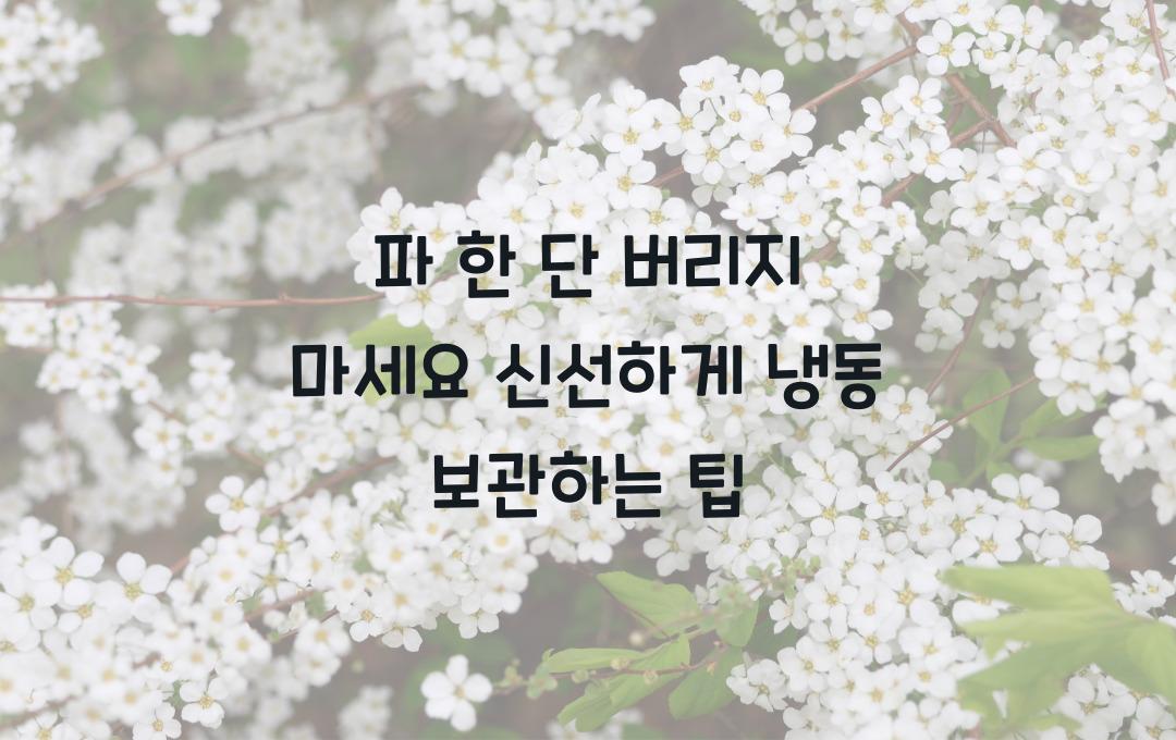  파 한 단 버리지 마세요! 신선하게 오래 보관하는 야채 냉동 보관법