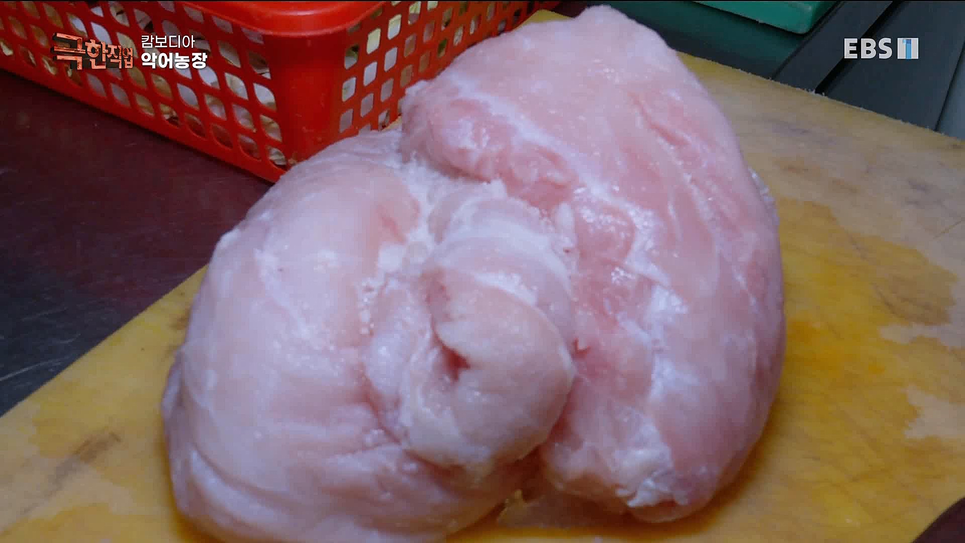 캄보디아 악어농장 230325.mp4_20230327_194951.352.jpg