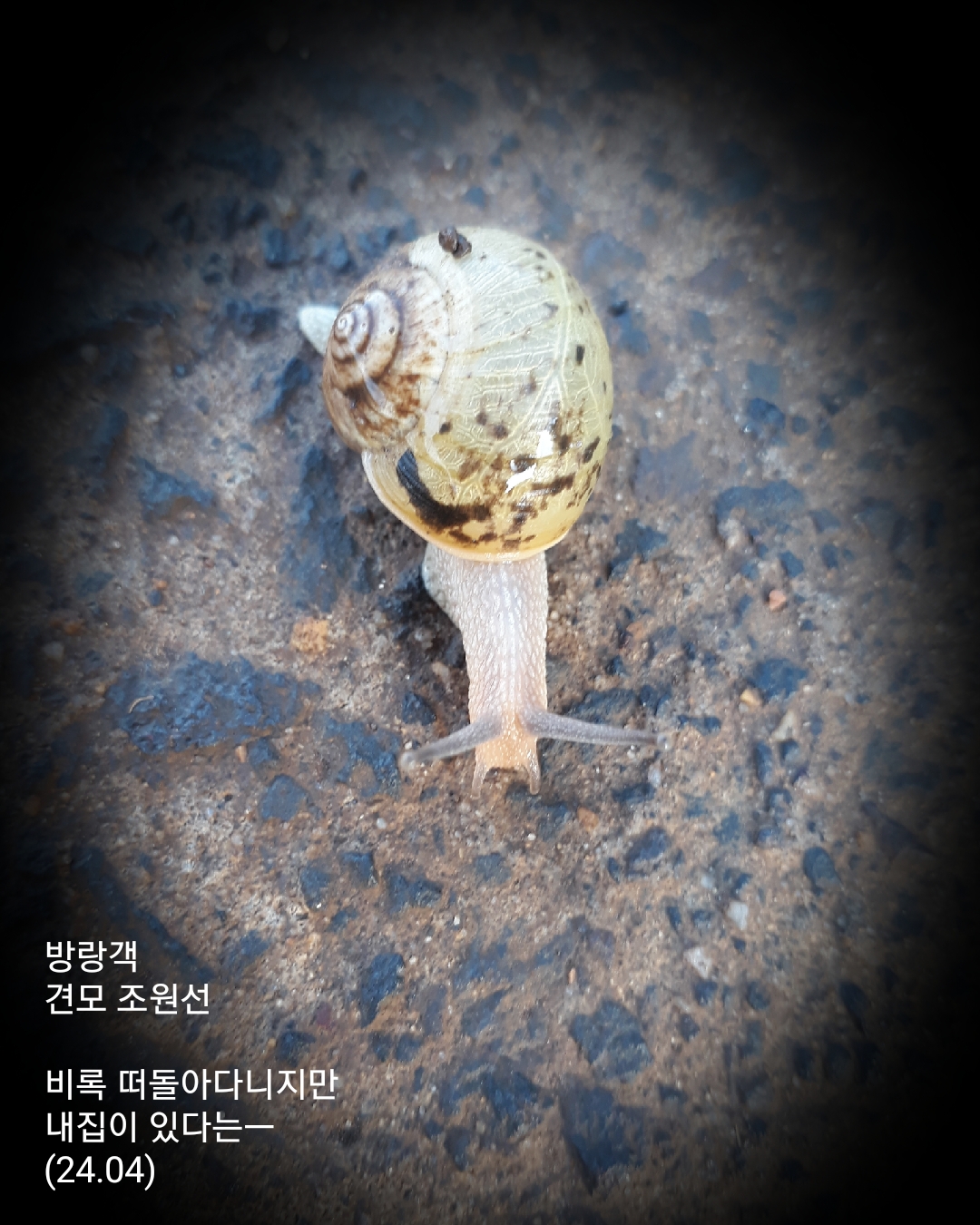 방랑객 이미지