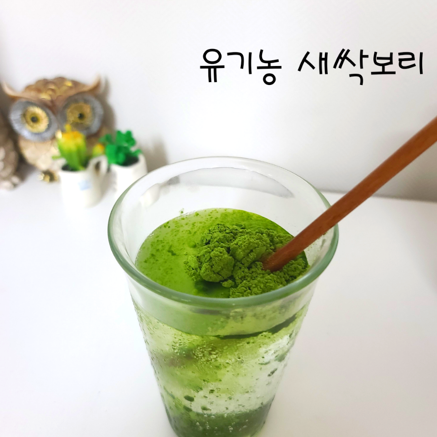 유기농 새싹보리 환 새싹보리 환 11