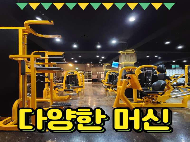 1.1 스타짐 헬스 PT 서비스