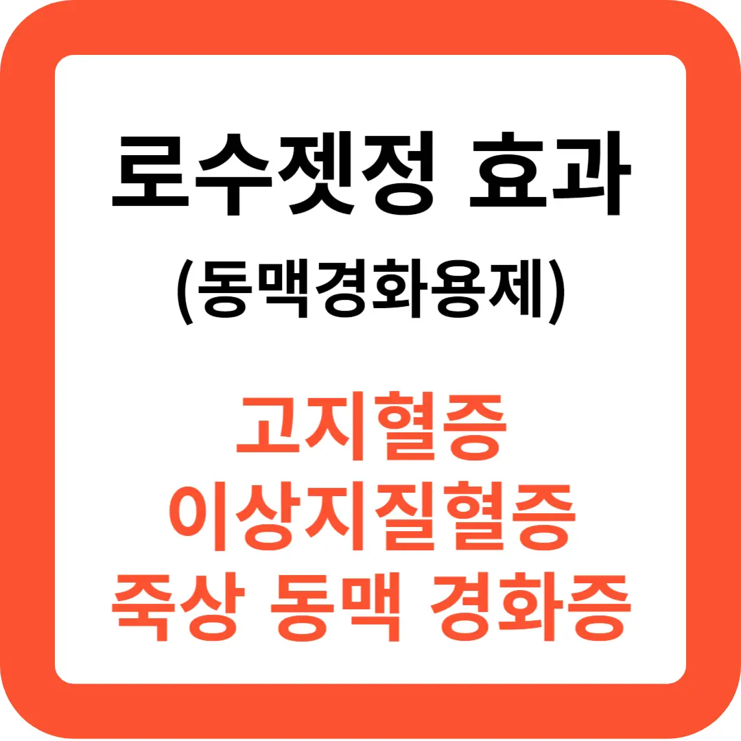 로수젯정-효과와-복용법-추천