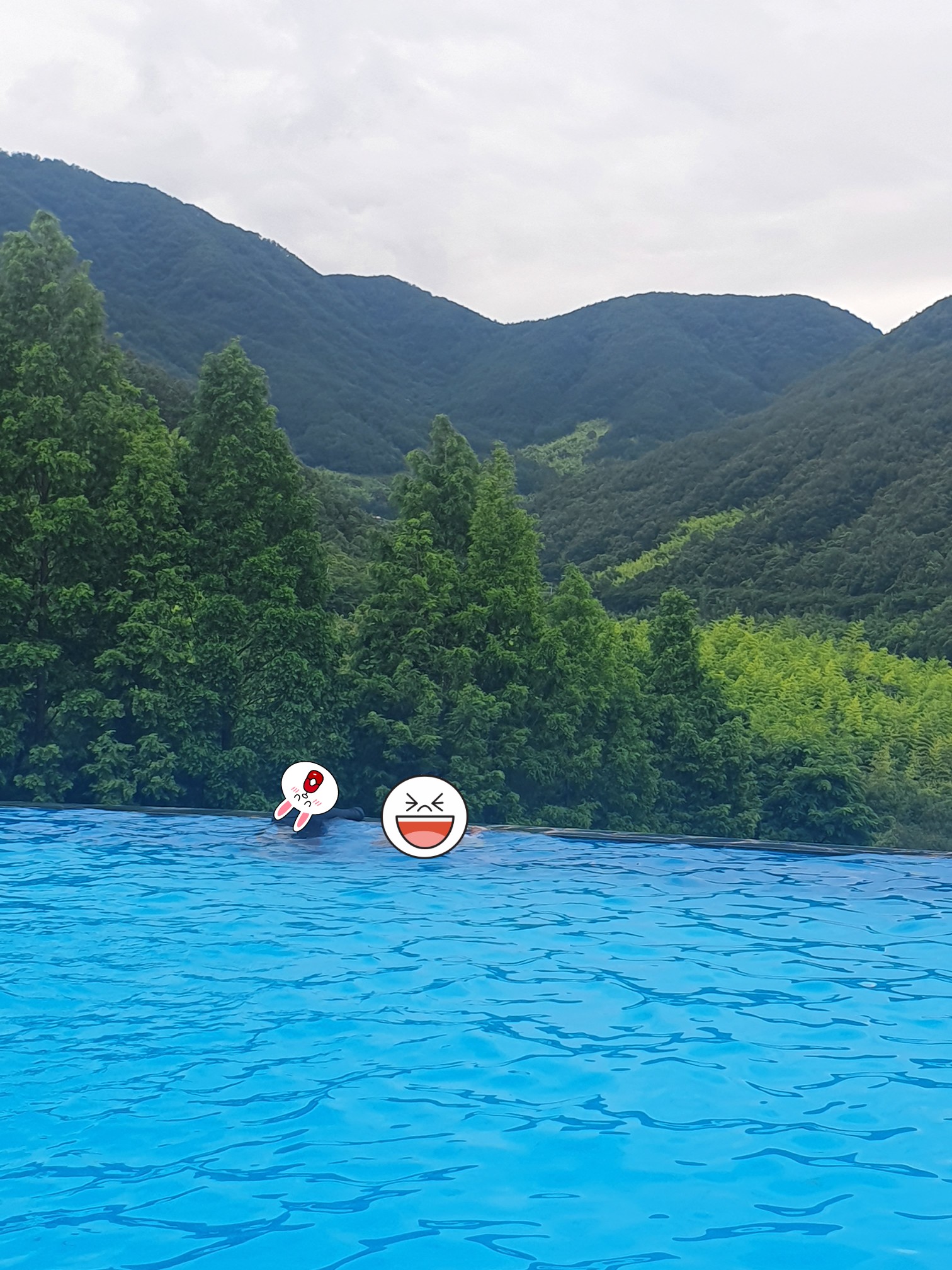 비바체 이미지