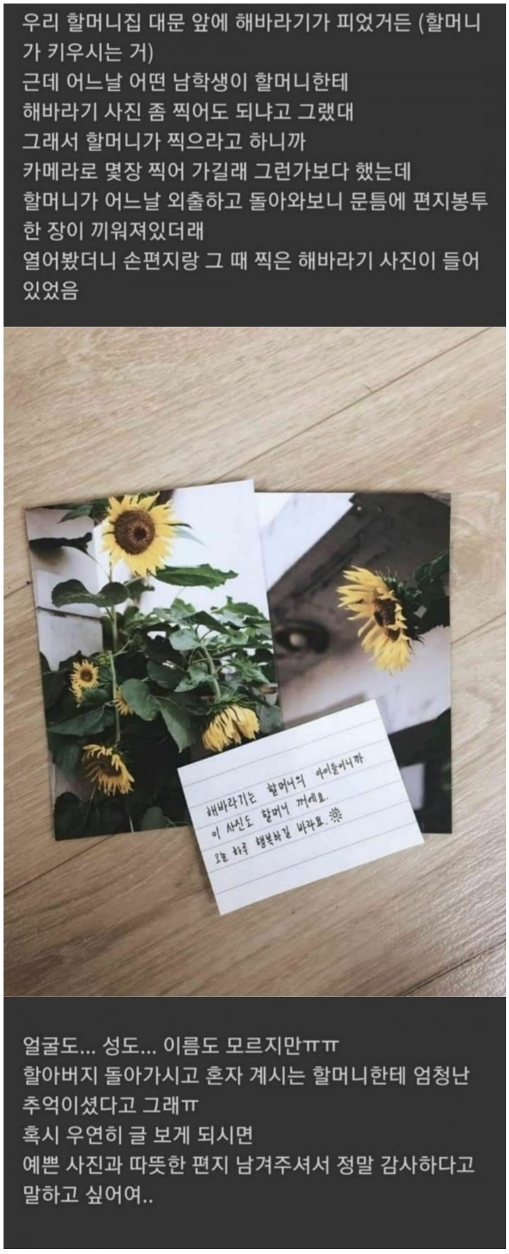  따뜻한 해바라기 선물