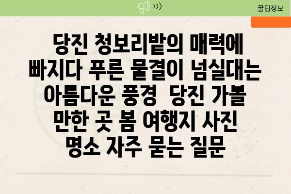  당진 청보리밭의 매력에 빠지다 푸른 물결이 넘실대는 아름다운 풍경  당진 가볼 만한 곳 봄 여행지 사진 명소 자주 묻는 질문