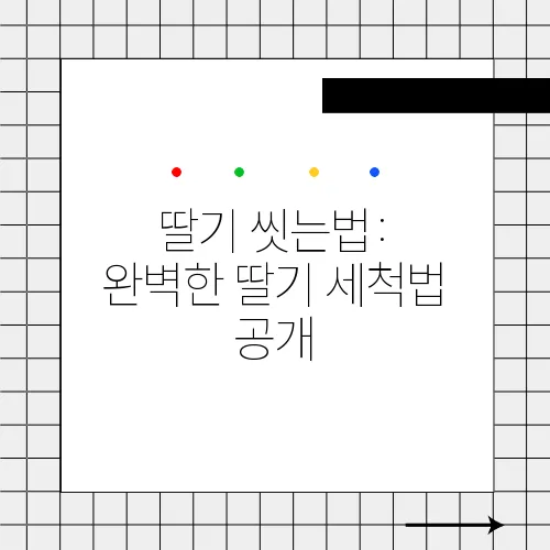 딸기 씻는법: 완벽한 딸기 세척법 공개