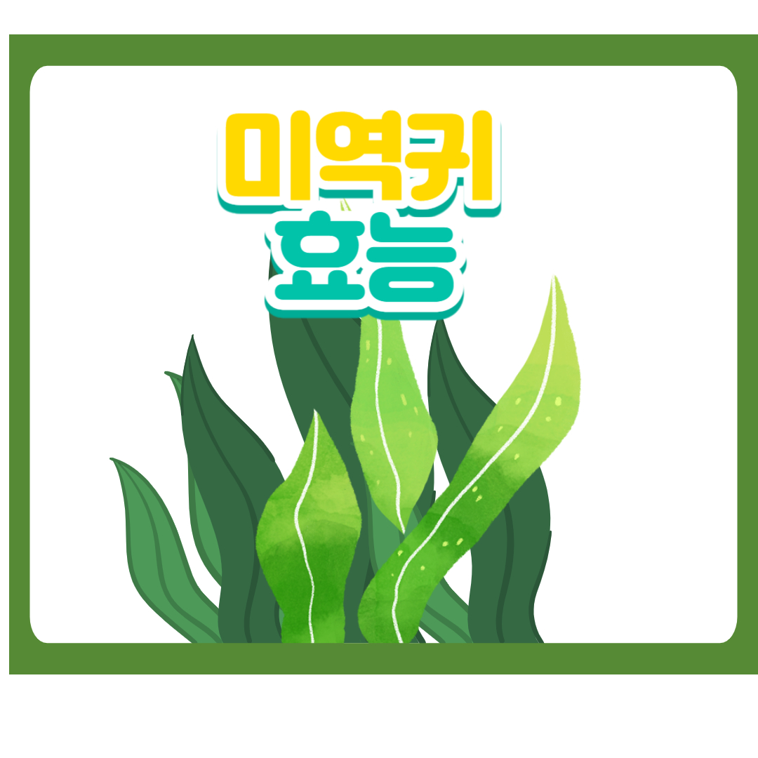  미역귀 효능 - 신비로운 건강의 보물