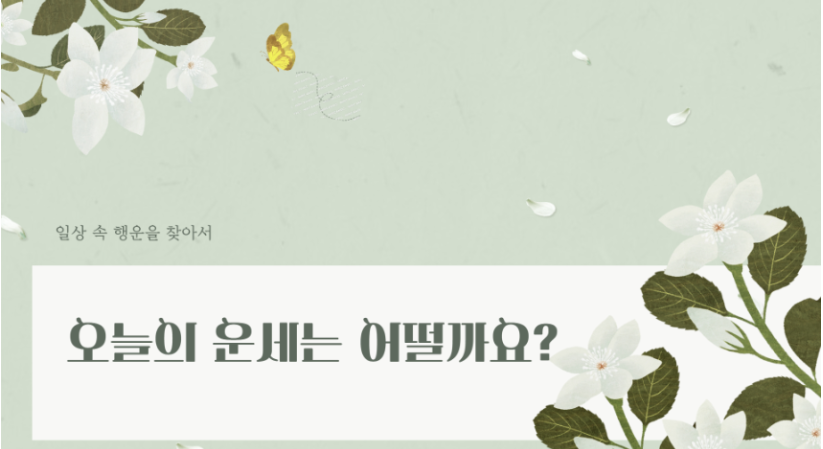 오늘의운세사진