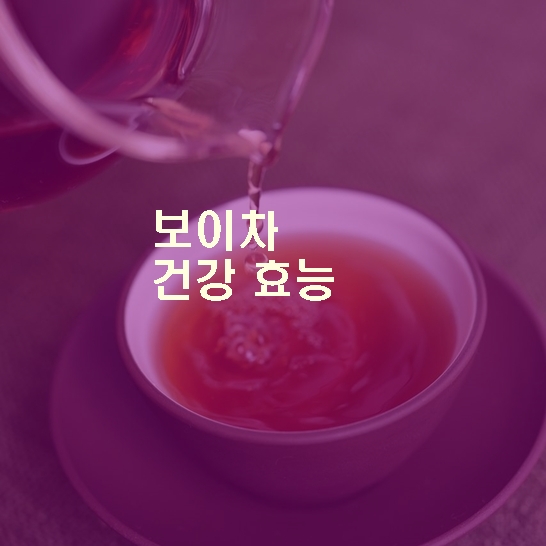보이차 효능