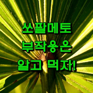  50대 남성 영양제, 쏘팔메토 부작용 등 주의사항 짚고가기!