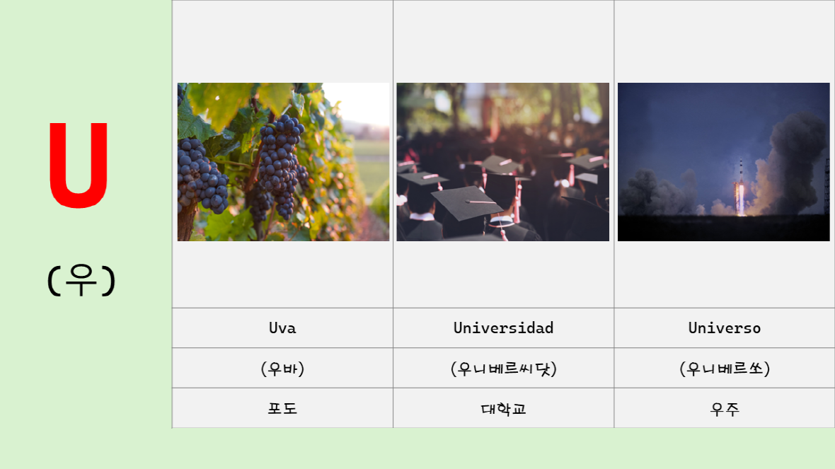 Uva, Universidad, Universo
우바, 우니베르시닷, 우니베르소
포도, 대학교, 우주