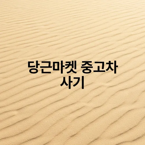 당근마켓 중고차 사기