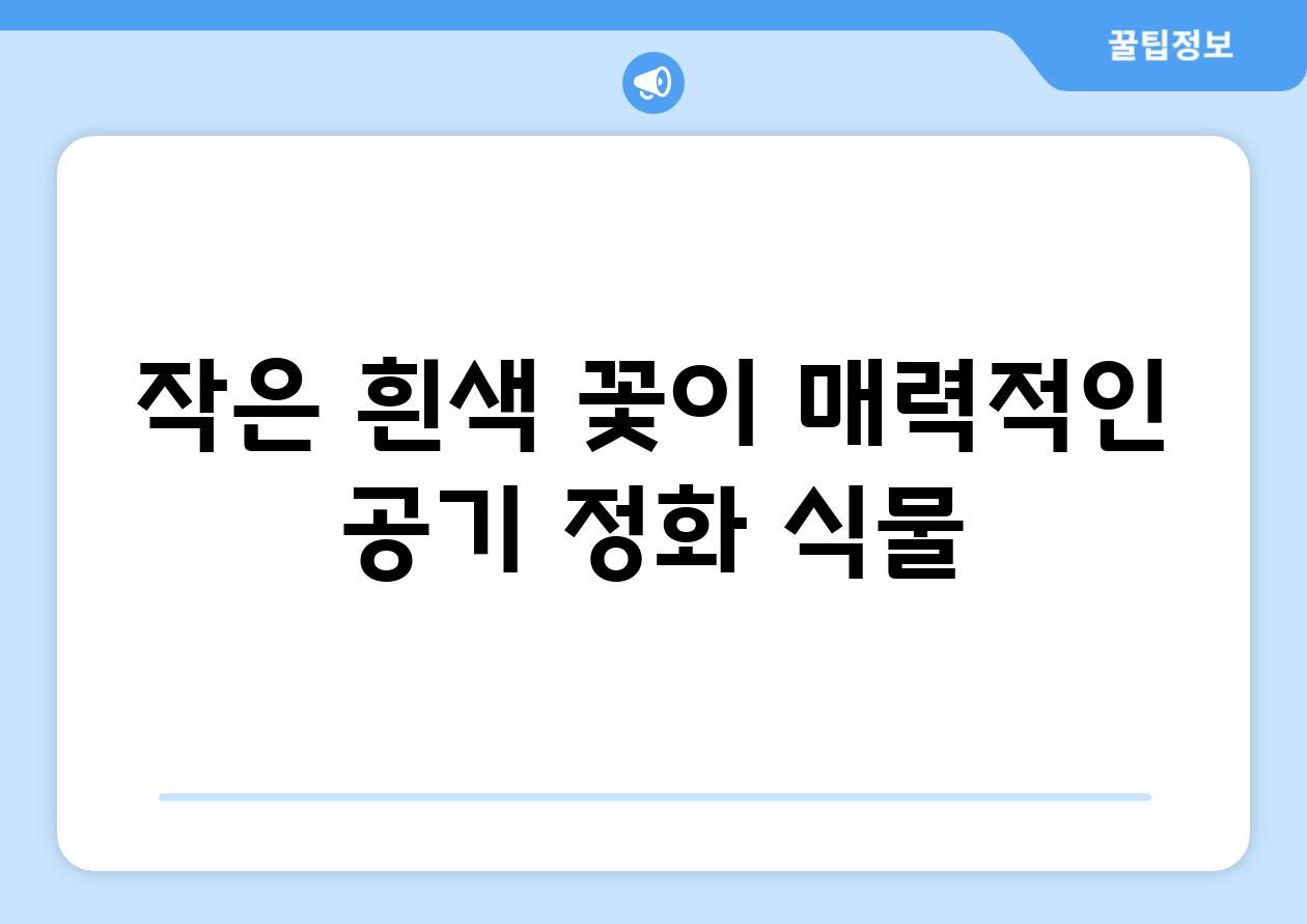 작은 흰색 꽃이 매력적인 공기 정화 식물