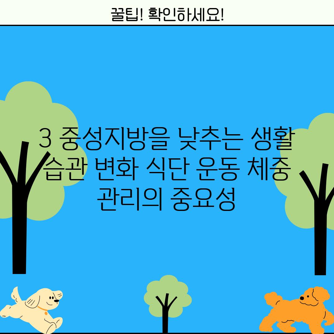 3. 중성지방을 낮추는 생활 습관 변화: 식단, 운동, 체중 관리의 중요성