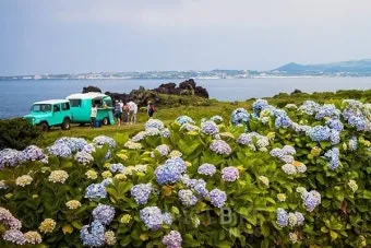제주 5월 여행 코스 추천 best 10_53