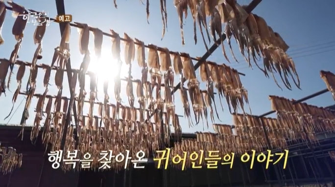 한국인의밥상-영덕-아버지의바다-오징어덕장