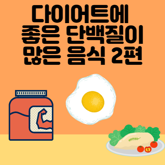 다이어트 음식
단백질