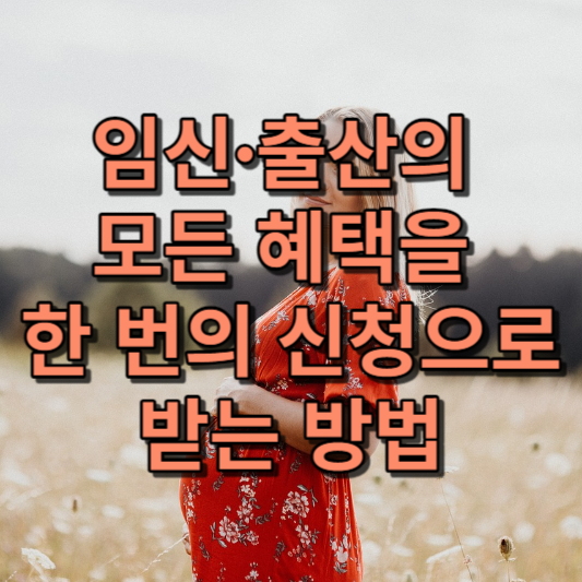 임신∙출산의 모든 혜택을 한 번의 신청으로 받는 방법