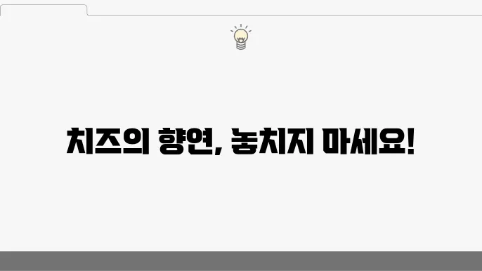 2024년 임실N치즈축제, 꼭 가봐야 할 축제!