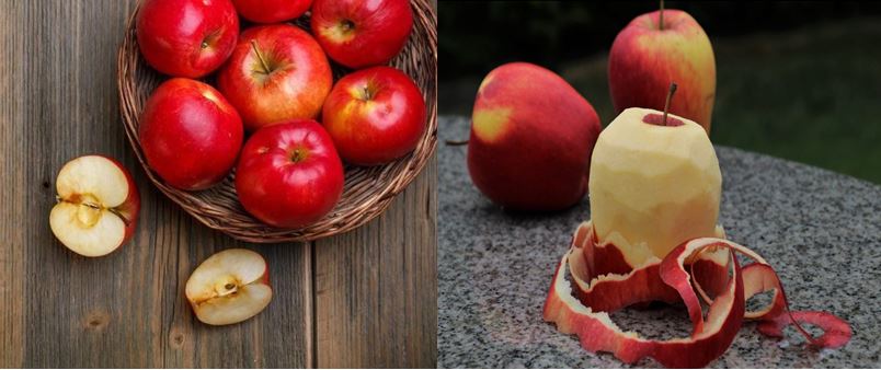  장 건강 변비에 탁월한 사과식이섬유(Apple fiber) 애플펙틴(Apple pectin)