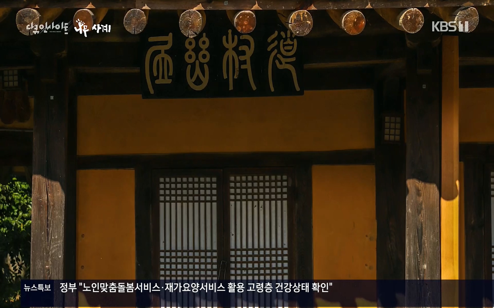 다큐 인사이트.E124.220908p.H264-F1RST.mp4_20220912_143736.981.jpg