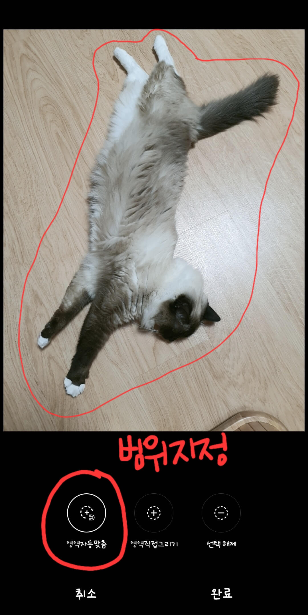 갤럭시-배경-제거-방법-이미지