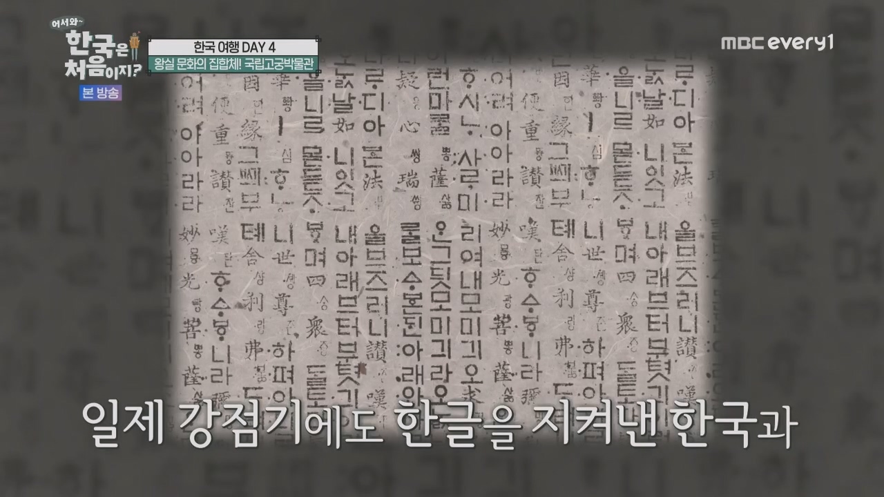 어서와~ 한국은 처음이지.E325.231208p.H264-F1RST.mp4_20231208_202124.648.jpg