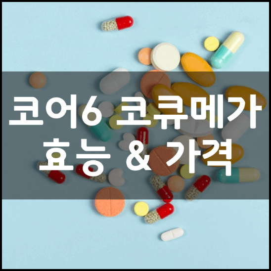 코어6-코큐메가-성분-효능-2가지-가격