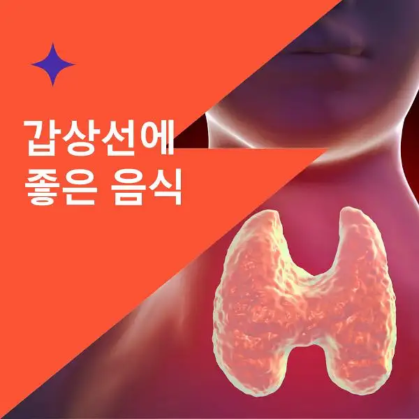 갑상선에 좋은 음식