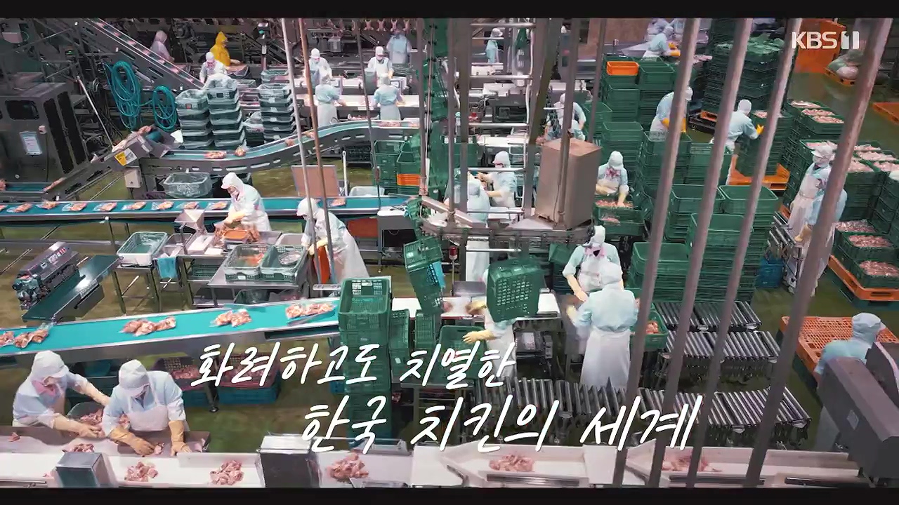 다큐 인사이트.E190.240531p-NEXT.mp4_20240531_204132.742.jpg
