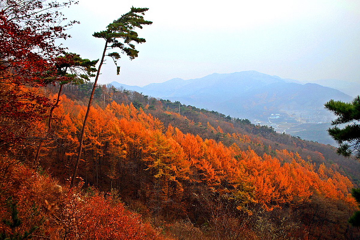 괴산 보광산