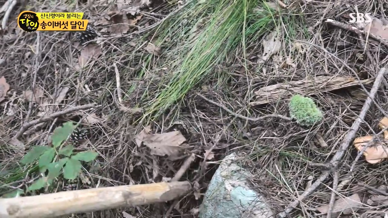 생활의 달인.E907.231010p-NEXT.mp4_20231010_202745.729.jpg