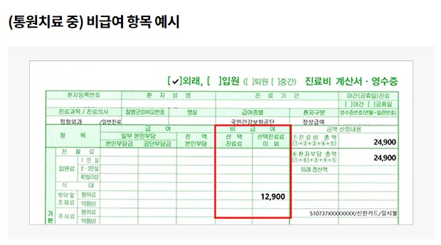 비급여 의료비