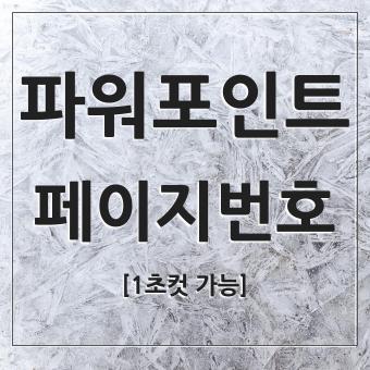  파워포인트 슬라이드 번호 및 페이지 번호 입력 또는 해제