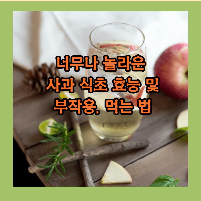 사과식초효능