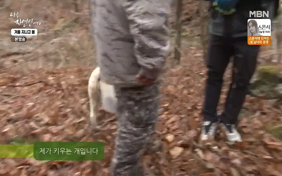 나는 자연인이다.E496.220407p-NEXT.mp4_20220407_175809.522.jpg
