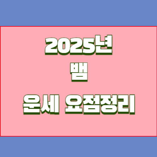 2025년 을사년 뱀띠 운세를 알아봅시다