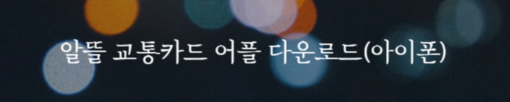 알뜰 교통카드 어플 (IOS) 아이폰용
