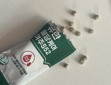 여주 환