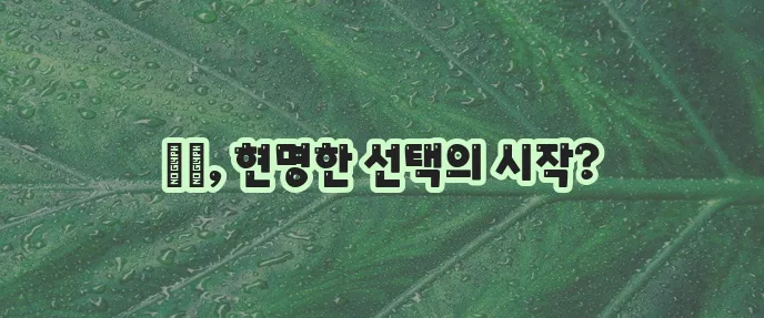 다이렉트 자동차 보험 견적 꼭 받아봐야 하는 이유!