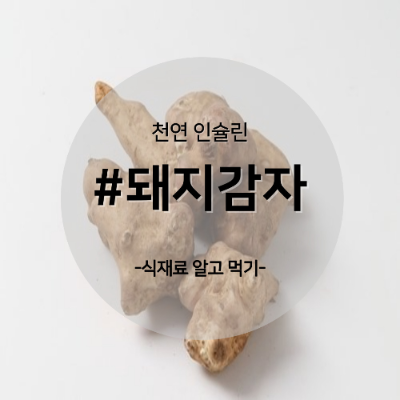 돼지감자