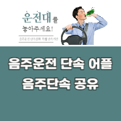 음주운전-단속-어플