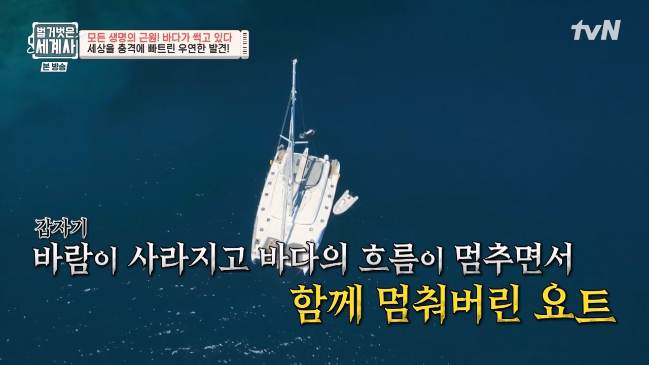 벌거벗은 세계사.E90.230315p-NEXT.mp4_20230419_204027.462.jpg