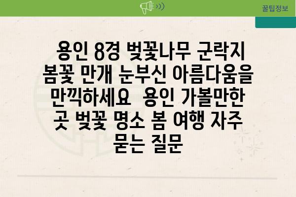  용인 8경 벚꽃나무 군락지 봄꽃 만개 눈부신 아름다움을 만끽하세요  용인 가볼만한 곳 벚꽃 명소 봄 여행 자주 묻는 질문