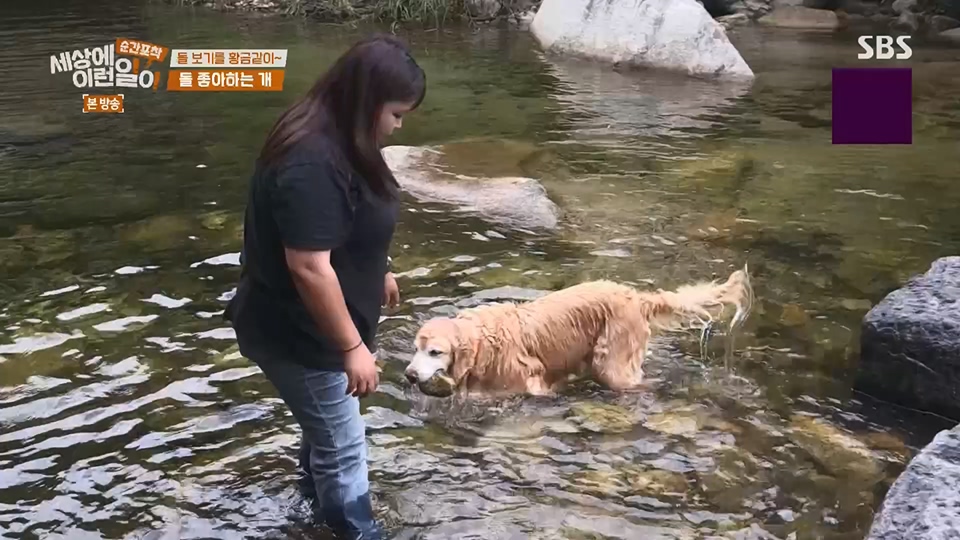 순간포착 세상에 이런일이.E1234.230624p.H264-F1RST.mp4_20230626_211154.784.jpg