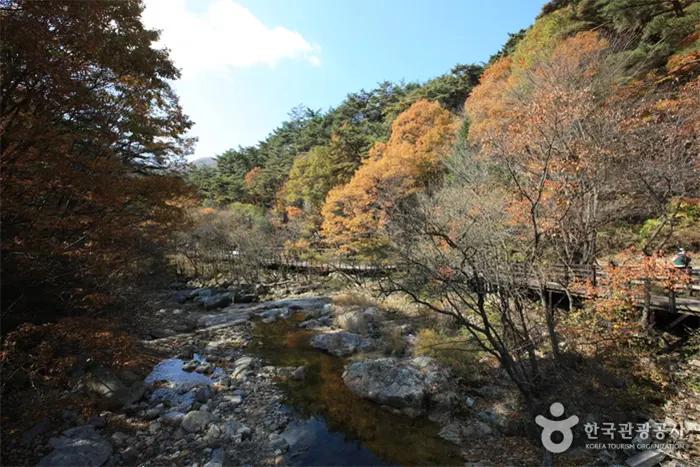 치악산 국립공원 전경 이미지