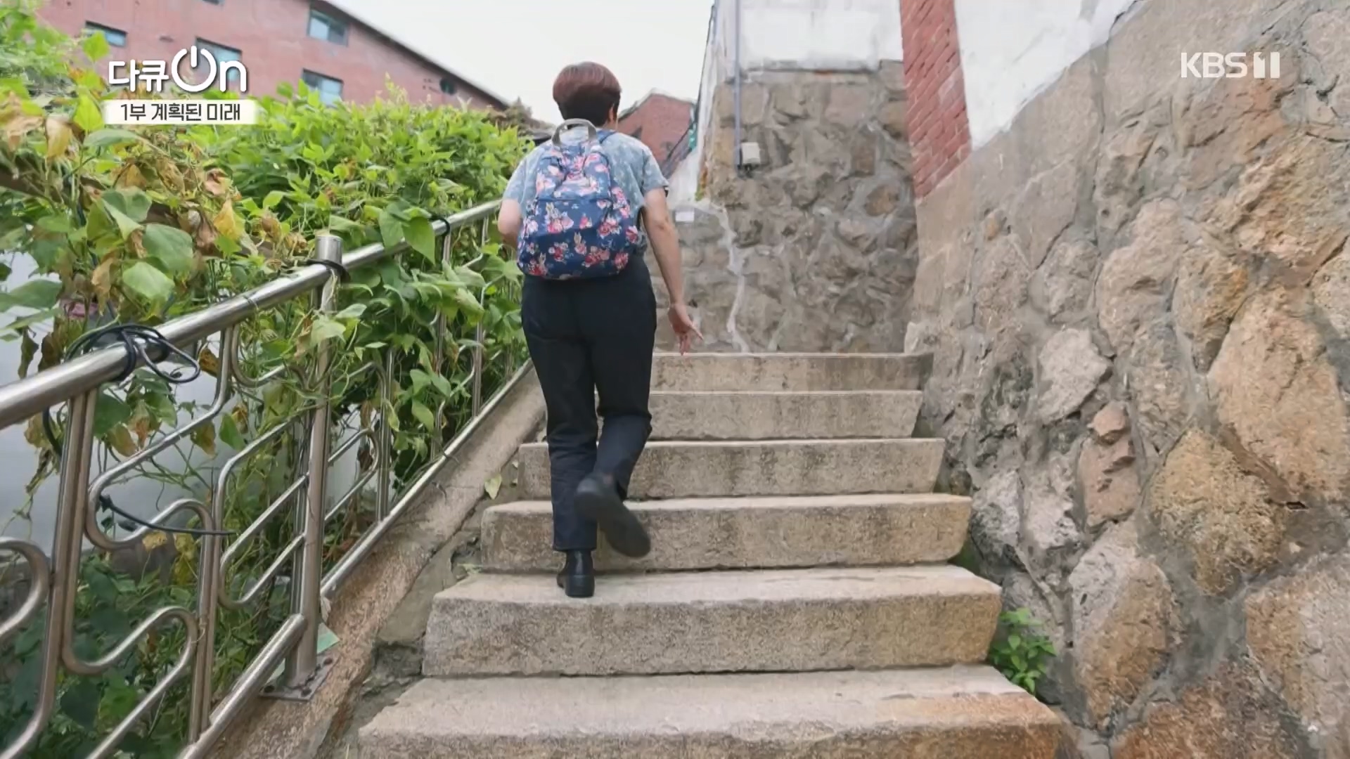 다큐 On.E224.231111p.H264-F1RST.mp4_20231112_182705.947.jpg