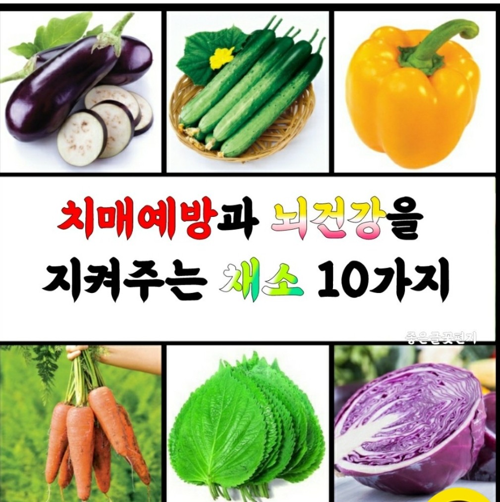  치매예방과 뇌건강을 지켜주는 채소 10가지